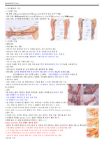 Ⅱ.말초혈관계 사정