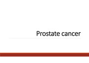 Prostate cancer case study (간호진단 및 과정 5개포함) A+ 자료