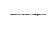 Genetics of Microbial Bioremediation