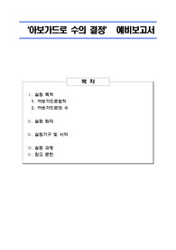 아보가드리오의 수