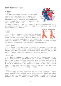 불안정형 협심증 케이스 간호과정3개