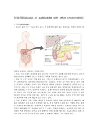 성인간호 담낭염 문헌고찰