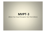 작업치료 평가도구 MVPT-3 요약