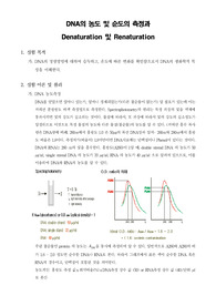[화학생물공정실험]DNA의 농도 및 순도의 측정과 Denaturation 및 Renaturation