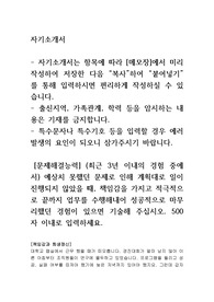 건강보험심사평가원 체험형 청년인턴 채용 자소서