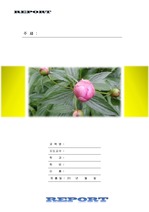 깔끔한 레포트 양식 (봄꽃) v3