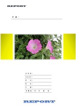 깔끔한 레포트 양식 (봄꽃) v2