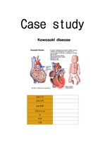 A+++++ case study, Kawasaki disease, 가와사키, 케이스 스터디, 간호진단, 간호과정, 3개
