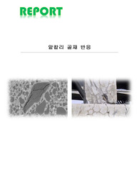 알칼리 골재 반응