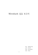 컴퓨터 네트워크 와이어샤크 보고서