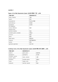 의학용어 남성생식계통의 기관