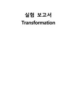 Trasformation실험 -예비,결과,레포트,보고서