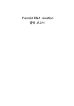 Plasmid DNA Isolation 실험-예비,결과,레포트,보고서