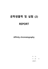 Ni-NTA agarose 수지를 이용한 단백질 정제