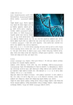 tRNA, mRNA와 단백질 번역