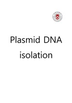 서강대학교 현대생물학실험2 DNA isolation