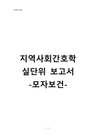 지역사회, 실단위 보고서, 모자보건, 보건소, 보건지소, 지역실습