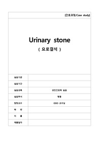 A+받은 내분비병동 요로결석 CASE STUDY입니다! 간호진단, 간호과정 3개, 교수님극찬하신 자료입니다!!
