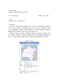 지역사회복지 문제사정 및 개입보고서(광주 광산구) 