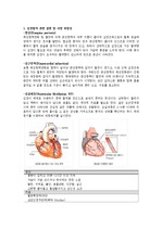 심장발작관련 질환 및 사망위험성과 심폐소생술 및 자동제세동기 사용법
