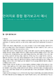 언어치료 종합 평가보고서 예시