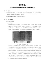 [나노소재공학실험]SWNT 합성