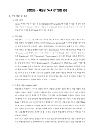 [생화학실험]형질전환 - 대장균 DNA 전기영동 관찰