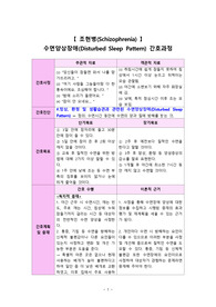 조현병 간호진단 수면장애 간호과정