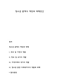 청소년 문제의 예방과 대책방안