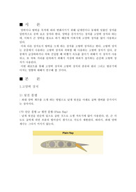 고양력장치와 고항력장치