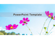 PowerPoint Template (코스모스) v2