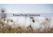 PowerPoint Template (억세풀)