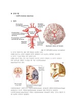 성인간호학 뇌경색Cerebral infarction,Case Study 케이스스터디(간호진단,과정2개)