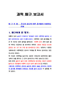 초등 과학탐구보고서