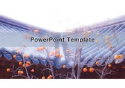 PowerPoint Template (가을, 감, 수확)