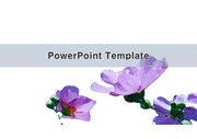 PowerPoint Template (무궁화)