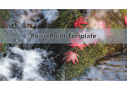 PowerPoint Template (가을)