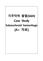 [A+] ICU 지주막하출혈 SAH Subarachnoid Hemorrhage (간호진단3, 간호과정1)