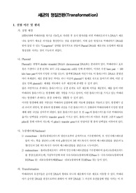 [분자생물학실험]세균의 형질전환