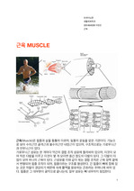 근육과 부위별 운동법