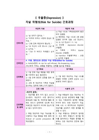 자살위험성 간호과정