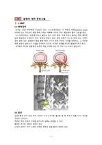 성인간호학 L-HNP, 마미총 증후군 cauda equina syndrome 케이스 스터디 case study