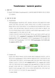[일반생물학실험]Transformaion - bacterial genetics