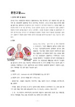 천식(asthma) 케이스, A+보장