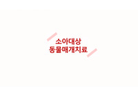 발달장애아동대상 동물매개치료 컨설팅 프로그램 팀플 프레젠테이션 발표 자료