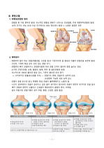 퇴행성관절염(DJD, degenertive jont disease) 문헌고찰