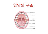 의학용어