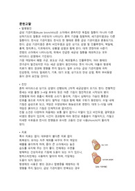급성기관지염 케이스, 간호과정, 문헌고찰입니다.(A+받았어요)