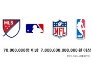 한국 판타지스포츠