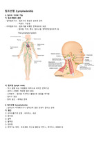 아동간호학 - 림프선염 병태생리
